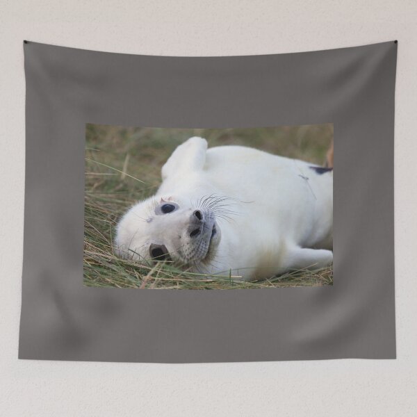 Item preview, AHHHHH designed and sold by Paul Thompson Photography.