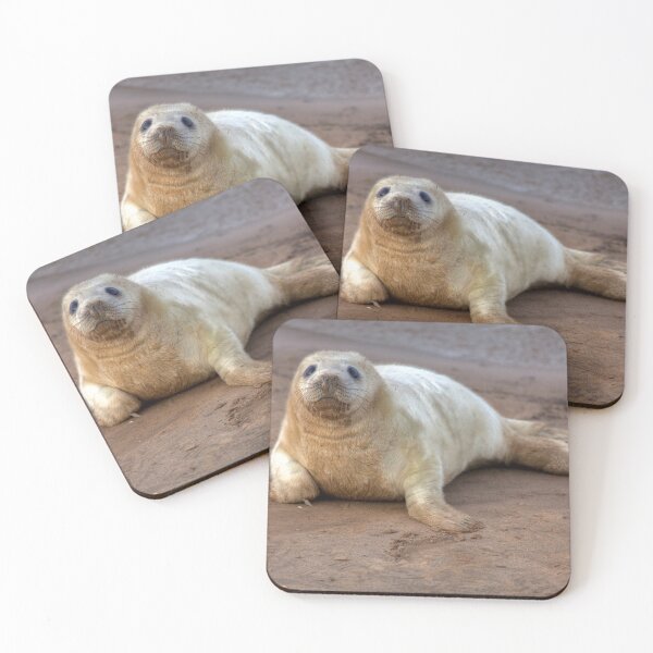 Item preview, The Donna Nook Grey Seal Colony 2 designed and sold by Paul Thompson Photography.