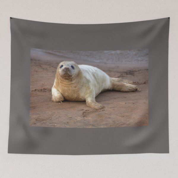 Item preview, The Donna Nook Grey Seal Colony 2 designed and sold by Paul Thompson Photography.