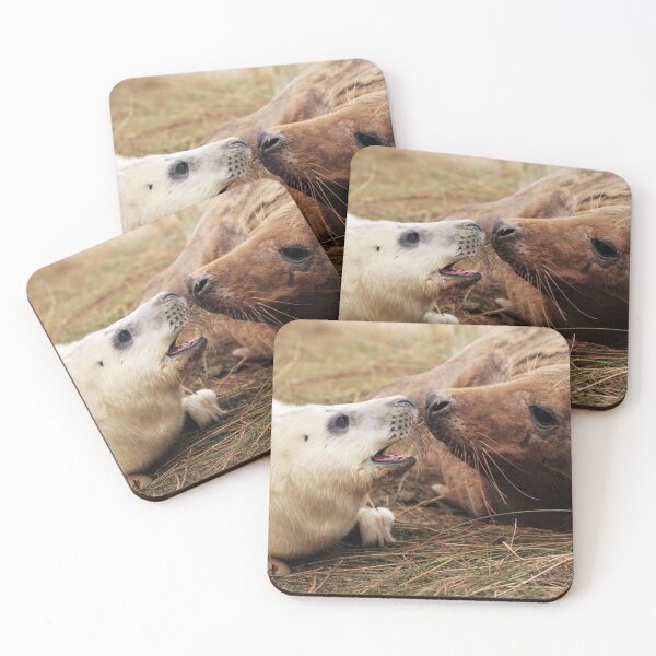 Item preview, Feed Me designed and sold by Paul Thompson Photography.