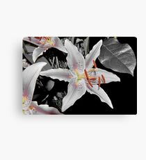 A Star Is Born Canvas Print