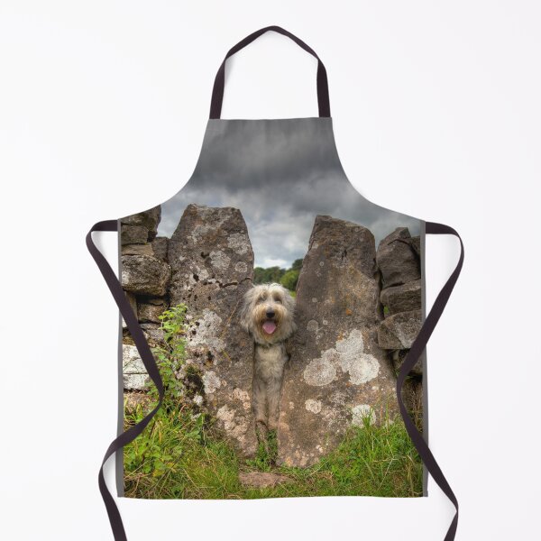 Item preview, Stuck Bearded Collie In Sheep Stile designed and sold by Paul Thompson Photography.