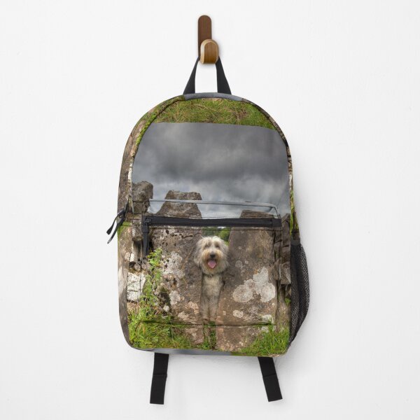 Item preview, Stuck Bearded Collie In Sheep Stile designed and sold by Paul Thompson Photography.