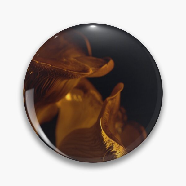 Item preview, Yellow Oyster mushroom close up on black background at sunset designed and sold by cinemadnesshirt.