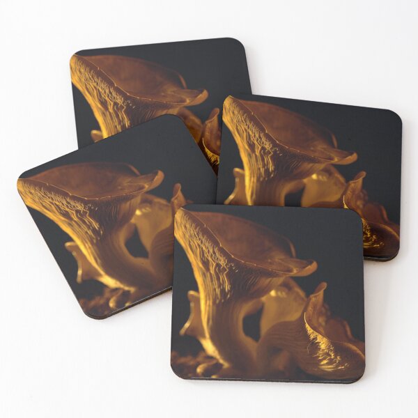 Item preview, Yellow Oyster mushroom close up on black background at sunset designed and sold by cinemadnesshirt.