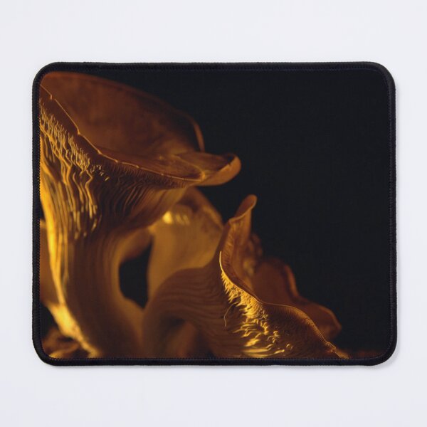 Item preview, Yellow Oyster mushroom close up on black background at sunset designed and sold by cinemadnesshirt.