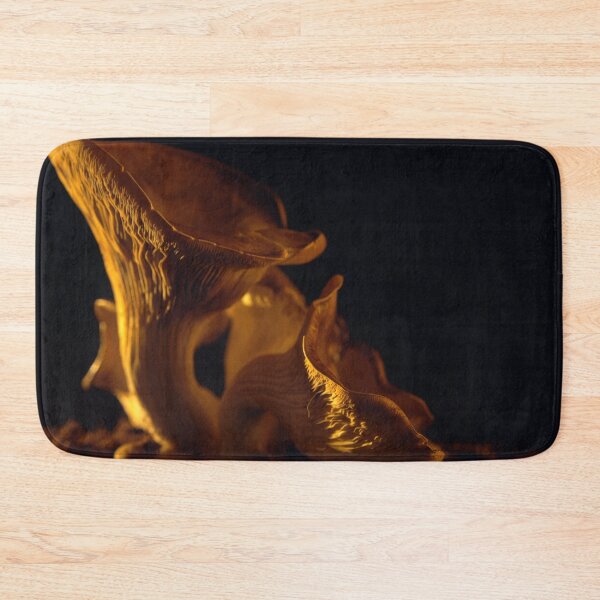 Item preview, Yellow Oyster mushroom close up on black background at sunset designed and sold by cinemadnesshirt.
