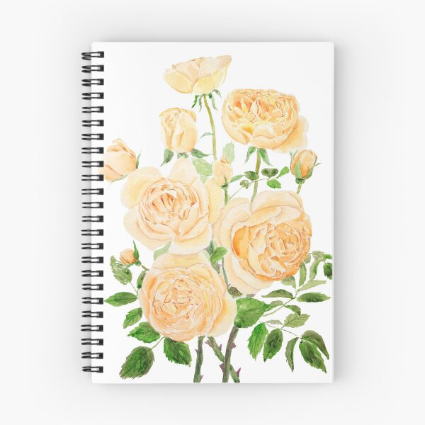 Item preview, hand painted orange pat Austin rose watercolor painting  designed and sold by ColorandColor.