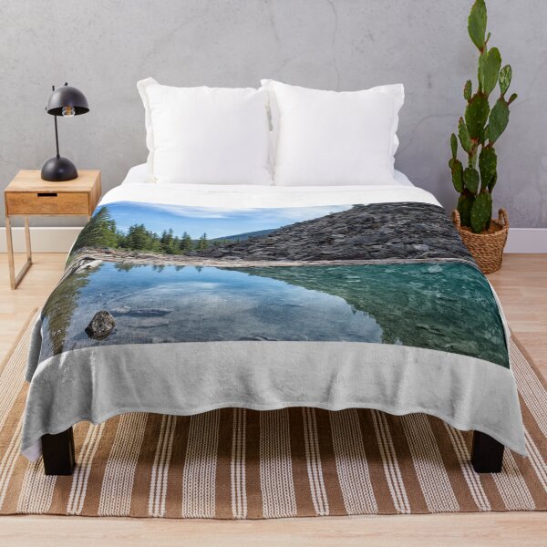 Item preview, Lake Moraine with logs designed and sold by Photopat.