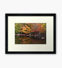 Autumn Reflections Framed Print