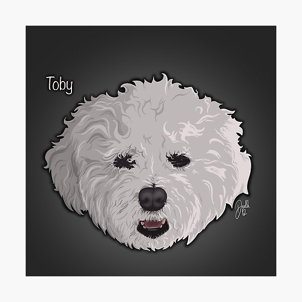 Item preview, Toby - Bichon Frise designed and sold by doodleeightytwo.