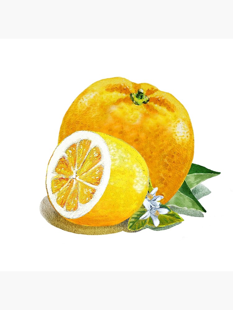 Disover Orange And Lemon Premium Matte Vertical Poster
