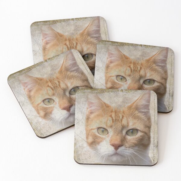 Item preview, Red cat looking at you designed and sold by Photopat.