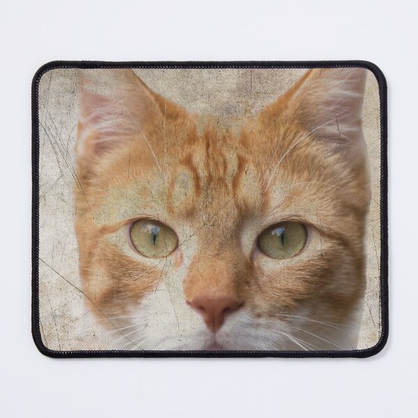 Item preview, Red cat looking at you designed and sold by Photopat.