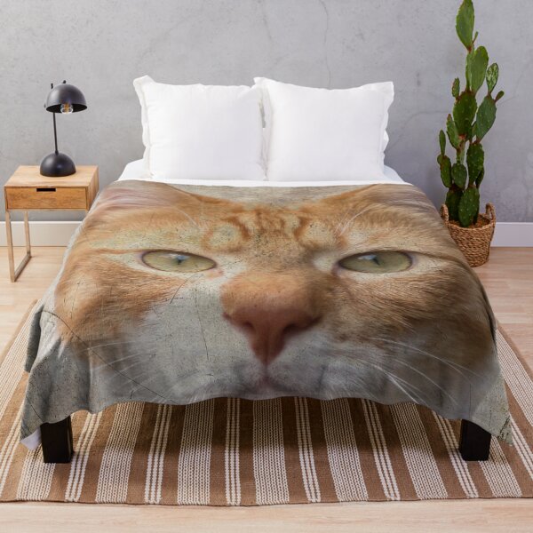 Item preview, Red cat looking at you designed and sold by Photopat.