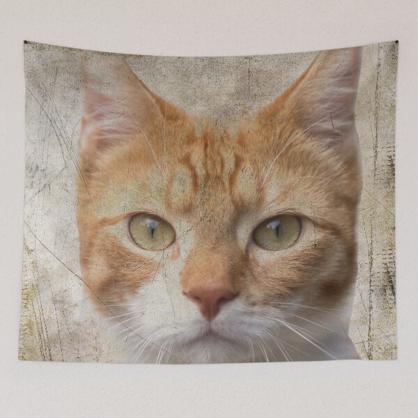 Item preview, Red cat looking at you designed and sold by Photopat.