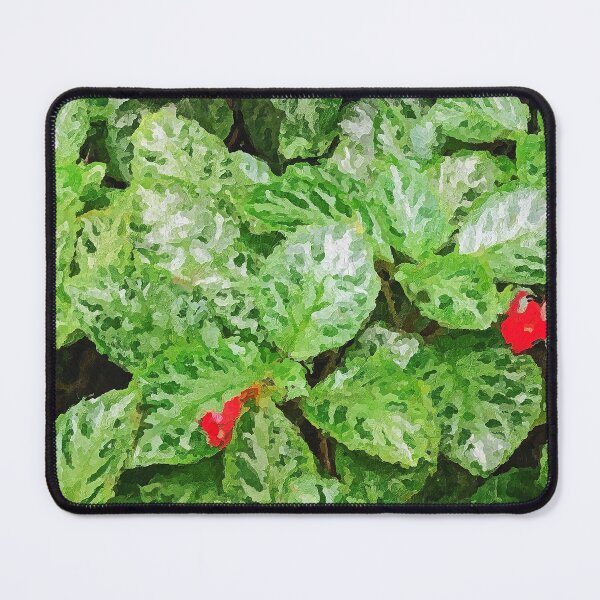 Item preview, Episcia plant acrylic painting  designed and sold by helveticanian.