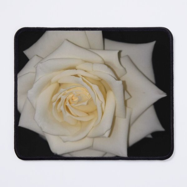 Item preview, White rose in the dark designed and sold by IlonaP99.