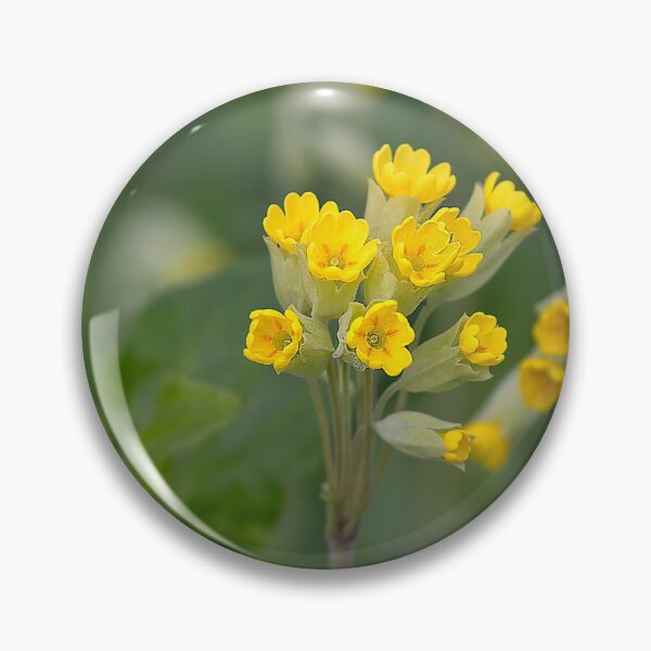 Item preview, English Wildflowers - Cowslips designed and sold by Violaman.
