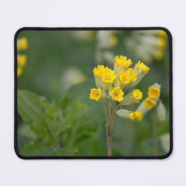 Item preview, English Wildflowers - Cowslips designed and sold by Violaman.