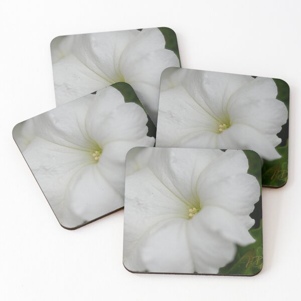 Item preview, White Flower designed and sold by JDPine.