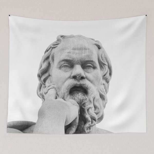 Item preview, Socrates Marble Statue #1 #wall #art designed and sold by Anita's & Bella's Art.