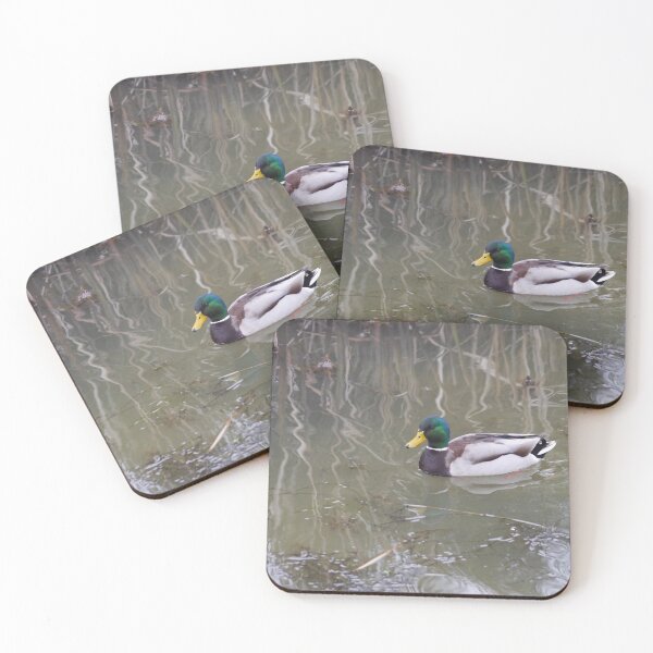 Item preview, A Male Mallard Duck designed and sold by GingerMan2550.