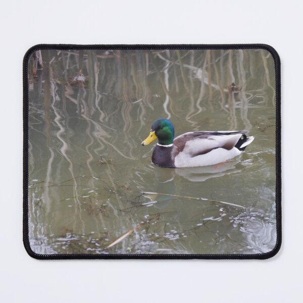 Item preview, A Male Mallard Duck designed and sold by GingerMan2550.