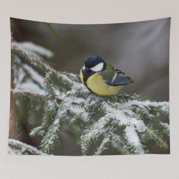 Item preview, The Snowy Spruce and  the Great tit designed and sold by Jouko Lehto Photography.