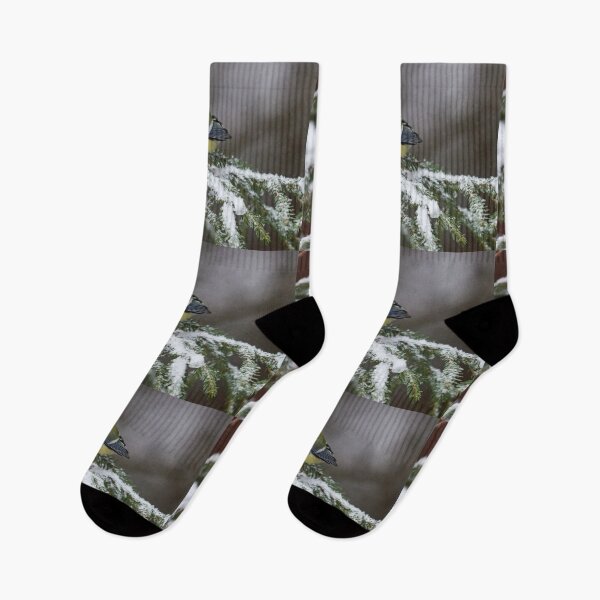 Item preview, The Snowy Spruce and  the Great tit designed and sold by Jouko Lehto Photography.