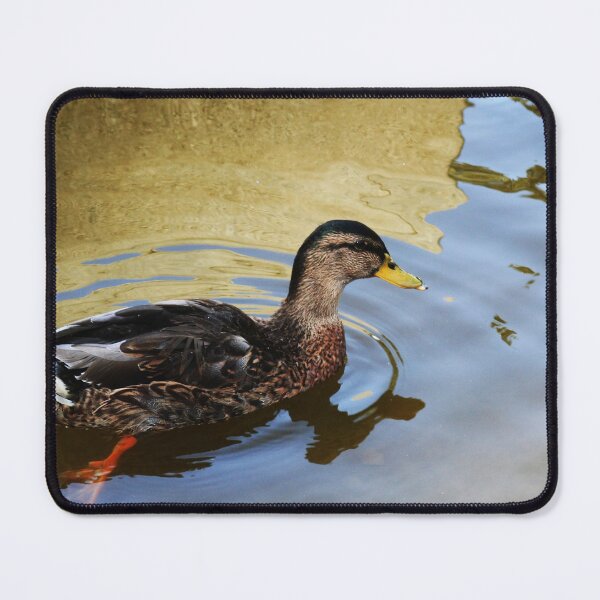 Item preview, Duck swimming in a golden lake designed and sold by Anna Lemos.