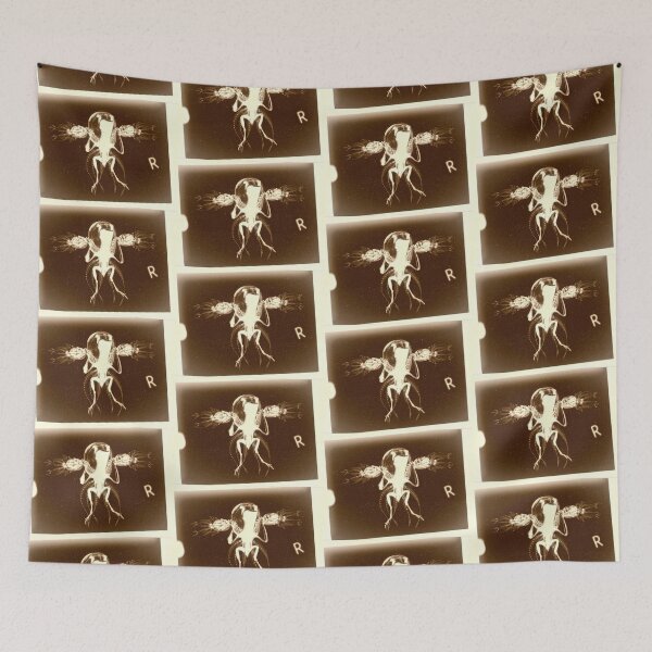 Item preview, Cryptozoological x-ray 1 designed and sold by John Chadwick.