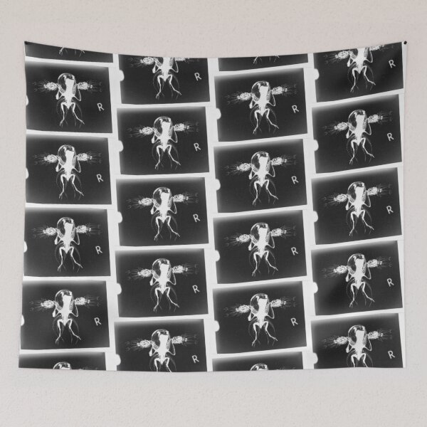 Item preview, Cryptozoological x-ray 1 B&W variant 1 designed and sold by John Chadwick.