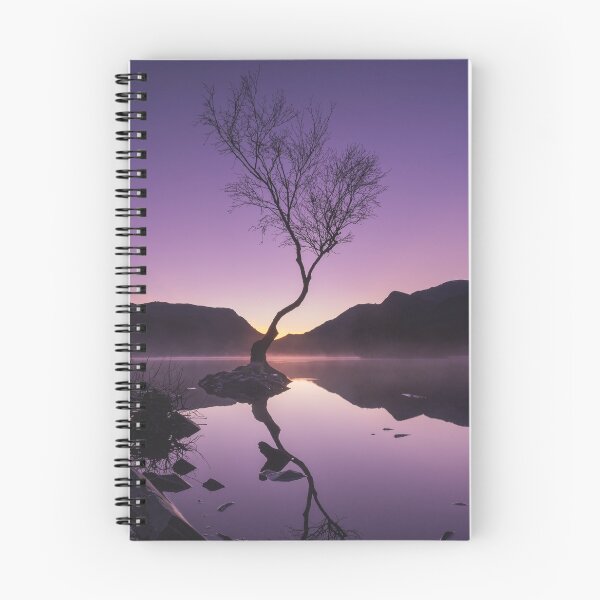 Item preview, Sunrise at the Lonely Tree designed and sold by neonlightphoto.