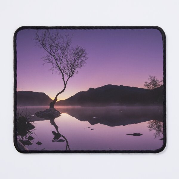Item preview, Sunrise at the Lonely Tree designed and sold by neonlightphoto.