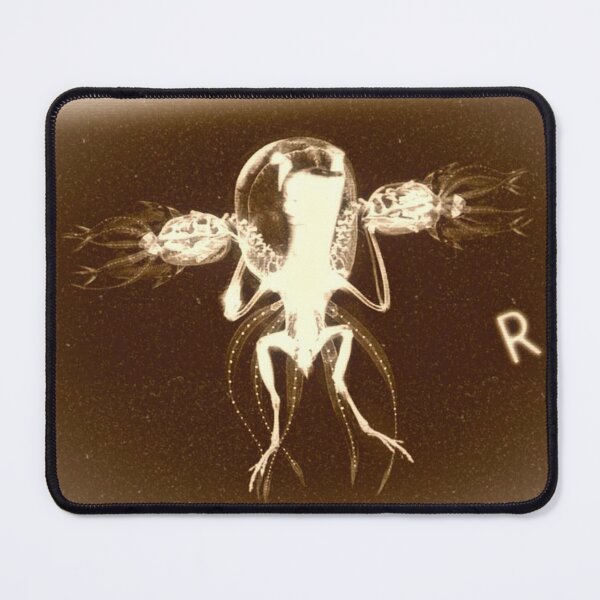Item preview, Cryptozoological x-ray 1 designed and sold by John Chadwick.