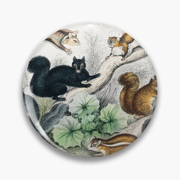 Item preview, Squirrel art designed and sold by rofocreative.