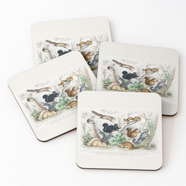 Item preview, Squirrel art designed and sold by rofocreative.
