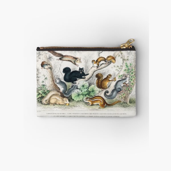Item preview, Squirrel art designed and sold by rofocreative.