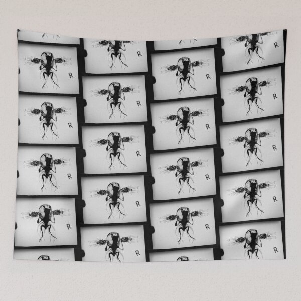 Item preview, Cryptozoological x-ray 1 B&W variant 2 designed and sold by John Chadwick.