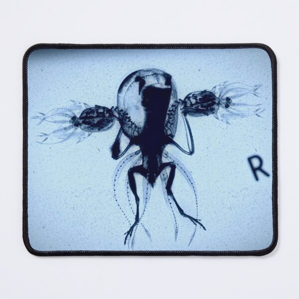 Item preview, Cryptozoological x-ray 1 variant 2 designed and sold by John Chadwick.