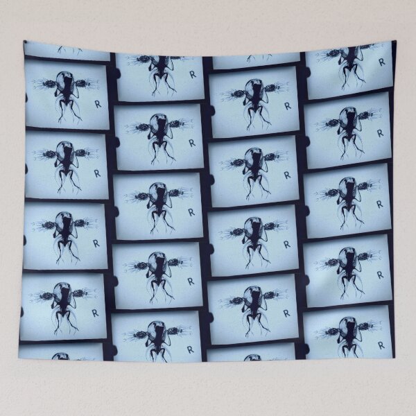 Item preview, Cryptozoological x-ray 1 variant 2 designed and sold by John Chadwick.