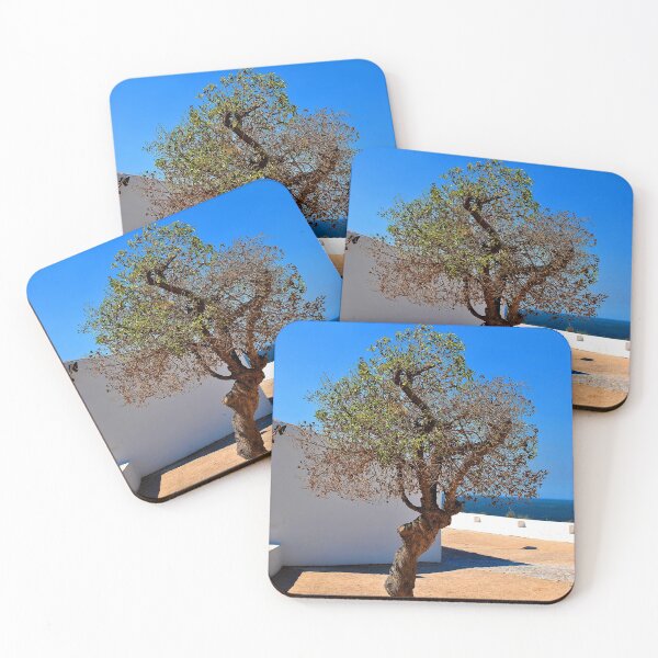 Item preview, Olive Tree Nossa Senhora da Rocha Porches Algarve Portugal designed and sold by AndyEvansPhotos.