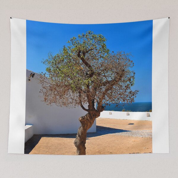 Item preview, Olive Tree Nossa Senhora da Rocha Porches Algarve Portugal designed and sold by AndyEvansPhotos.