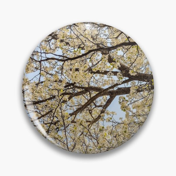 Item preview, Summer Trees designed and sold by J+J Photography.