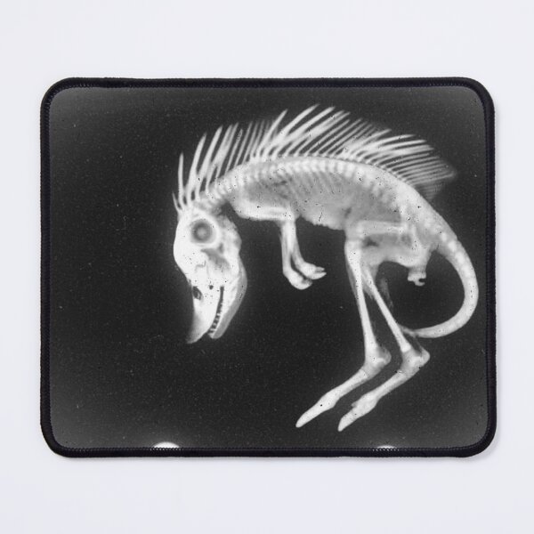 Item preview, Cryptozoological x-ray 2 B&W variant 1 designed and sold by John Chadwick.