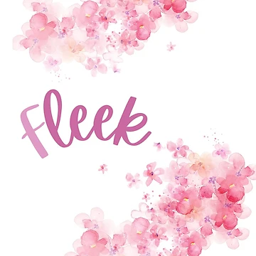 Artwork thumbnail, Fleek by Rimmi01
