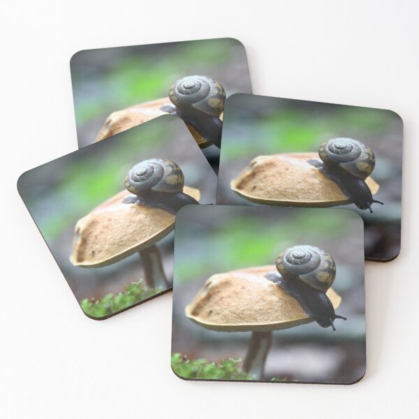 Item preview, Snail and mushroom designed and sold by SymbioticImages.