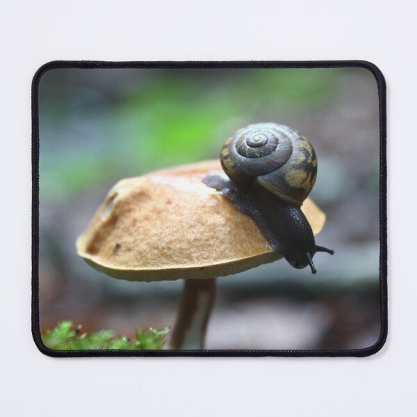 Item preview, Snail and mushroom designed and sold by SymbioticImages.