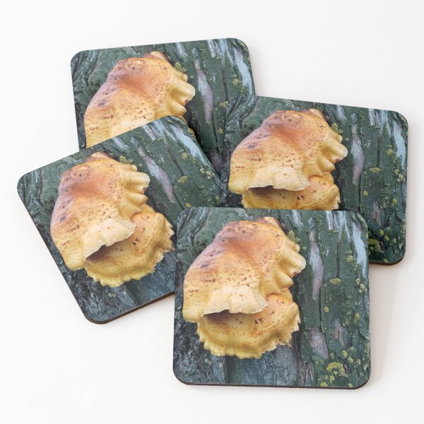 Item preview, Chicken of the woods designed and sold by aapshop.